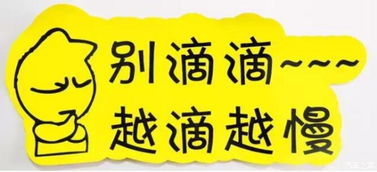 實(shí)習(xí)車上路 真的可怕嗎？解析馬路上的“隱形警報(bào)”與汽車陪駕服務(wù)